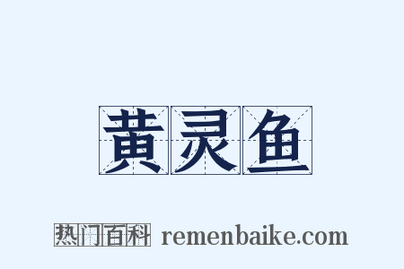 黄灵鱼是什么意思的图片